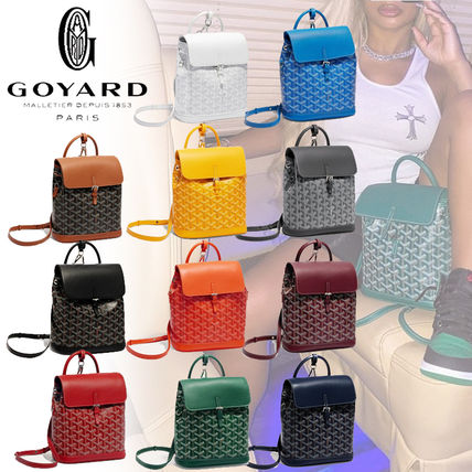 The Goyard Backpack: Exploring the Iconic Goyard Backpack Cheap Replacement.